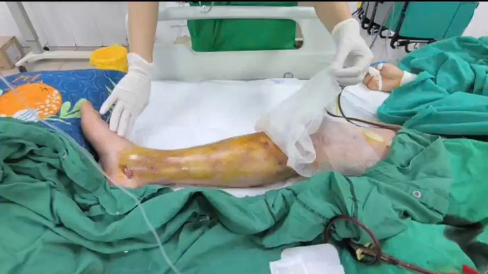 Đài PTTH Hà Nội